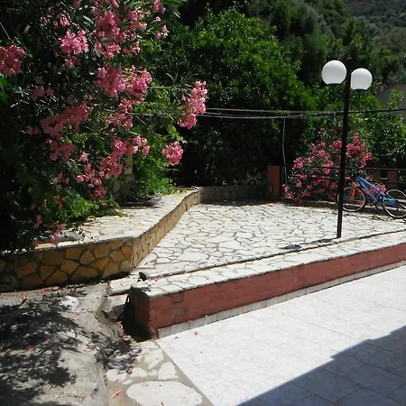 Dimitris * فاسيليكي