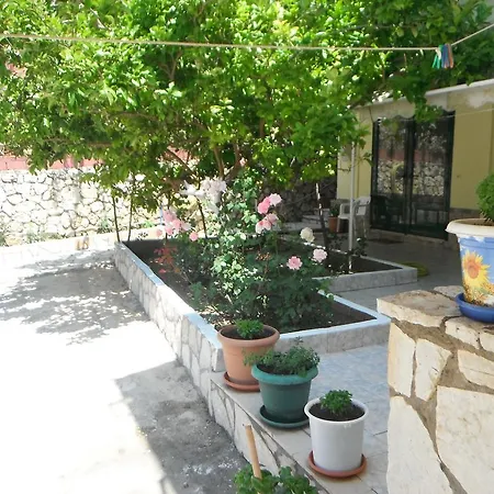 Dimitris Vasiliki