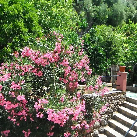 アパート Dimitris