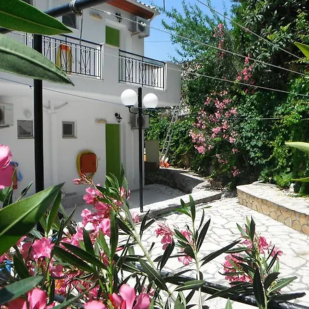 Dimitris ヴァシリキ