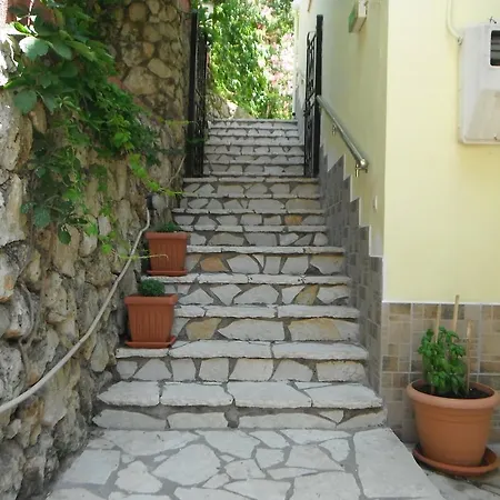 Dimitris *