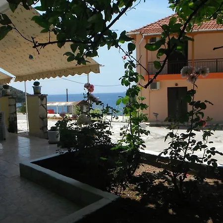 Dimitris *