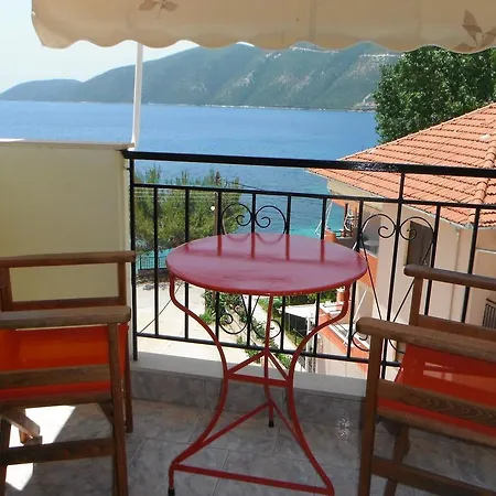 Dimitris ヴァシリキ